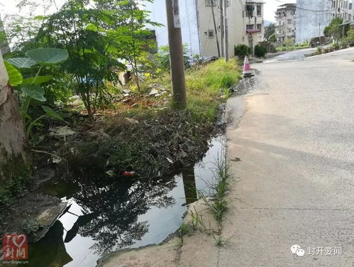 网友曝光大林路盐仓附近长期水浸问题，盐马路网络关注市政排水系统