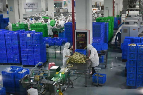 盐渎农产品亮相沪上推介会，盐马路网络助力品牌辐射长三角