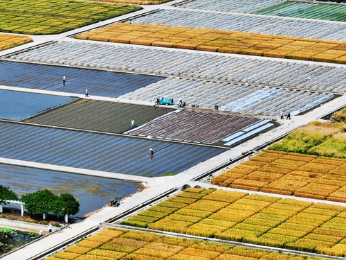 扬网天氣丨本周天氣低開高走 入夏之路已經不遠了
